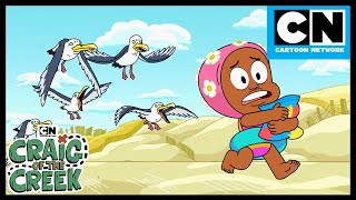 Season 1 - 4's Best Moments! (Compilation)| Craig Of The Creek | Cartoon Network