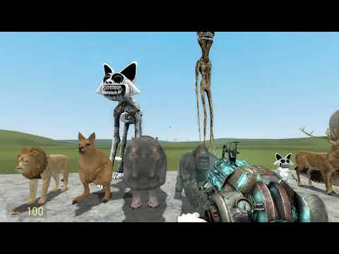 POPPY PLAYTIME, ZOONOMALY, ZOOCHOSIS, SKIIBIDI TOILET IN GARRY'S MOD!