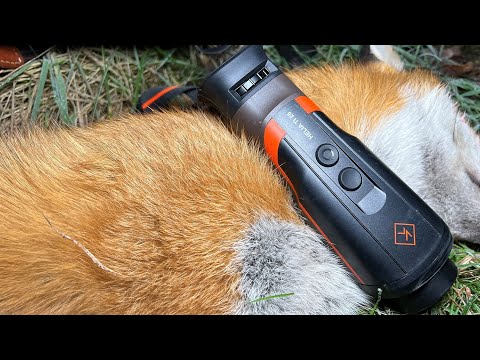 Kahles TI 25 Thermal Monocular, UNBOXING and first successful night out