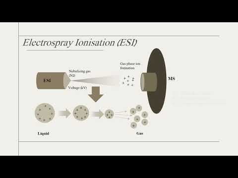 Quickly understand various types of LCMS