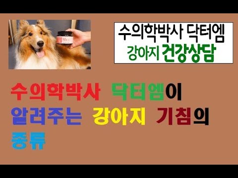 강아지 기침에도 종류가 있습니다!!!