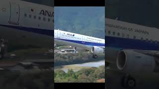 [飛行機動画][本編有]ゴーアラウンド(Go-Around)A321 #shorts