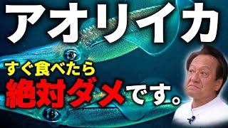 【村田基】アオリイカ、アカイカ、コウイカ、種類別おいしい食べ方（高画質化）【切り抜き】