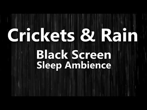 Crickets and Rain 10 Hour Sleep Ambience in Dark Screen - Goodnight