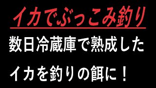 イカの切り身でぶっこみ釣り【ぶっこみ釣り/釣れてって】