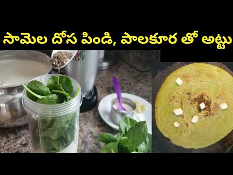 Little Millet Spinach Dosa for kids | Samalu palakura dosa | healthy recipe