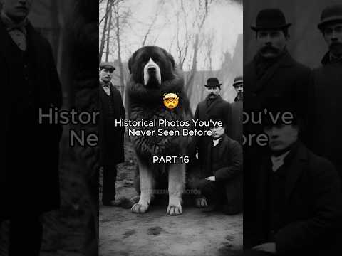 RARE HISTORICAL PHOTOS YOU’VE NEVER SEEN #history #historicalphotos #interesting