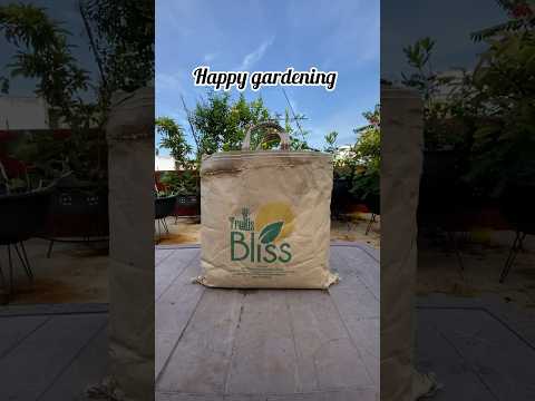 Soil mix from @trellisblissindia6287