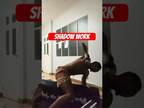 Normal vs Shadow Training #khunshawn #mma