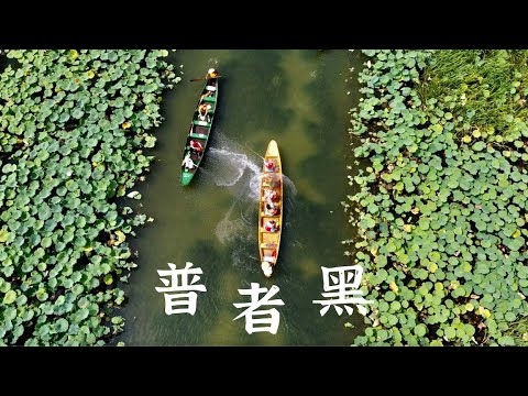 YunNan云南Vlog: 夏日普者黑-莲花池里的泼水节! Celebrating summer in PUZHEHEI, YunNan: Water Park in the lotus pond.