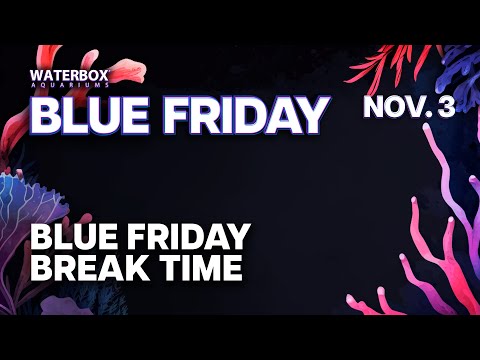 Blue Friday Intermission - Open Chat