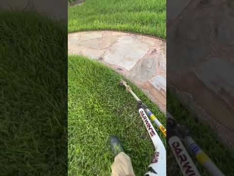 Satisfying LAWN CARE - String Trimming TALL GRASS! #mowing