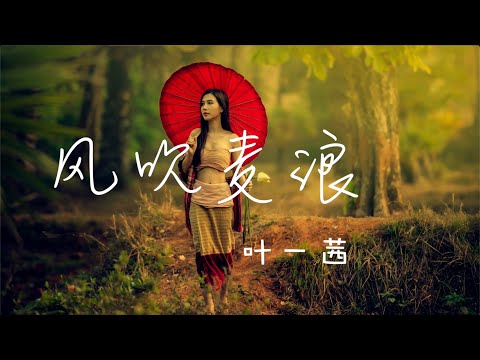 叶一茜【风吹麦浪】 「抖音热歌」Tiktok Remix |就像你柔软的长发 曾芬芳我梦乡