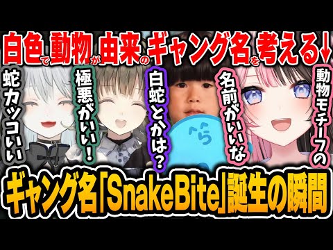 【VCRGTA】ギャング名「SnakeBite」誕生の瞬間【橘ひなの/らっだぁ/猫麦とろろ/英リサ/トナカイト/ぶいすぽ】