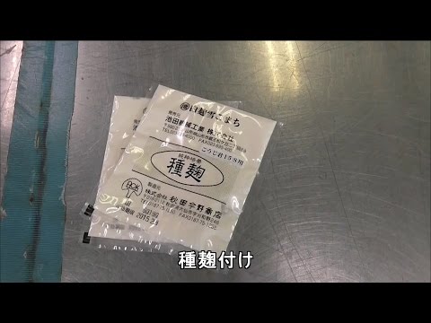 味噌造り②種麹付け NK10【農産物加工研究所】