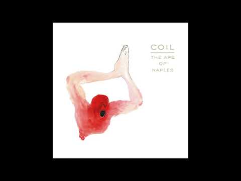 Coil - The Last Amethyst Deceiver