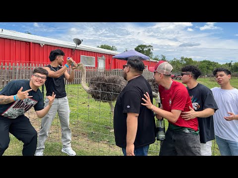 THE BOYS SPEND THE DAY AT THE BIGGEST ZOO IN TEXAS!