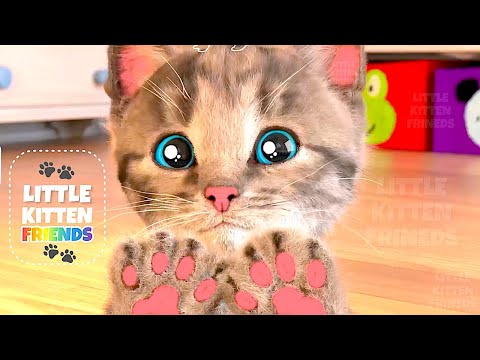 Animated Little Kitten friends Adventure 😸 Cat Play Fun Pet Care VIDEO FOR PRESCHOOLERS #1176