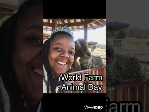 At the Farm| World Farm Animal Day #farm #animals #worldday