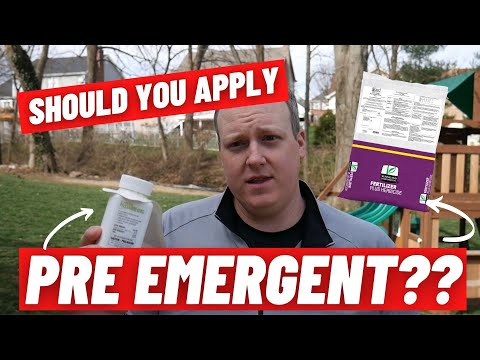 Should You Apply Pre Emergent?