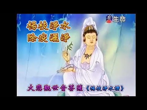 【楊枝淨水讚】~南無觀世音菩薩摩訶薩~楊枝淨水灑三千，滅障除疫化病戾；甘露遍灑潤眾生，處處清涼普安詳！