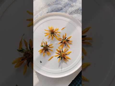 একধরনের লবণ দিয়ে ফুল dry করলাম🌻 #dryflower #yoursuchana #silicagel #shortsfeed #tipsandtricks