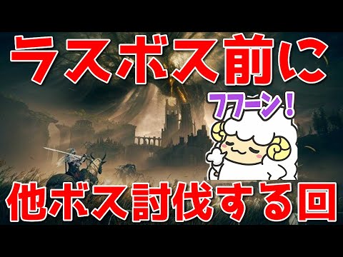 【ELDEN RING DLC #8】ラスボス前位に他ボスやフィールドボスを倒す回withフルオ🐑【初見＆概要欄に詳細】