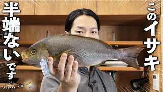 長崎のイサキが半端ない！魚の旨みとライムが最高にマリアージュする、絶品セビーチェ【白鶴×Georgeのおうちビストロ／PRIDE FISH】