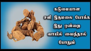 சித்தரத்தையின் மருத்துவ பயன்கள் | Sitharathai Benefits in Tamil | Nalamudan Vaazha