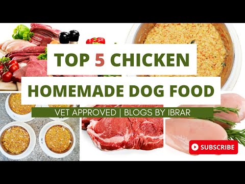 Top 5 | Chicken | Homemade | vet approved | Dog Food Recipes | DIY Dog Food | Blogsbyibrar