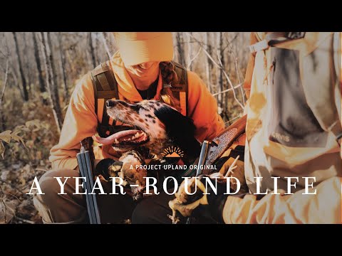 Minnesota Outdoors Year-Round with Bird Dogs: Grouse Hunting, Steelhead Fishing & Woodcock Banding