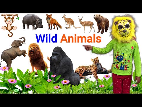 wild animals names for kids 🙉 💥💥💥