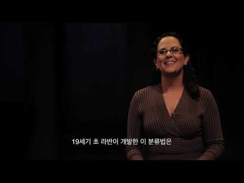 Stacey Hurst: 댄스테라피(DMT): 신체언어 분석