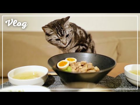 My cat comes to check my dinner every time.[Vlog]