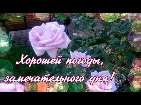 ХОРОШЕЙ ПОГОДЫ!ЗАМЕЧАТЕЛЬНОГО ОСЕННЕГО ДНЯ! 💖💖🍁НЕВЕРОЯНО КРАСИВЫЙ, НЕЖНЫЙ ВАЛЬС СЕРГЕЯ ЧЕКАЛИНА!💖💖🍁