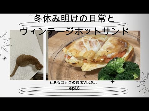 冬休み明けの日常とヴィンテージホットサンド【ホットサンド】【野良猫】