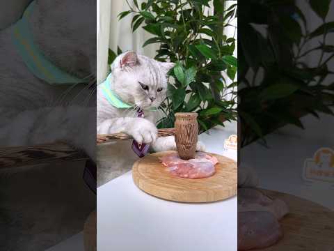 Master Cat Making Moon Cakes 🥮Crab Roe Noodles Delicious 😋