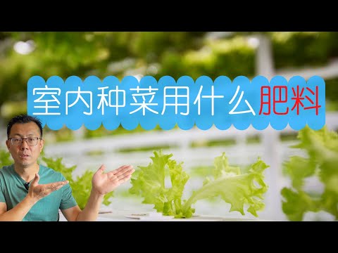 室内种菜用什么肥料？选择肥料要考虑的三个因素，如何使用演示！