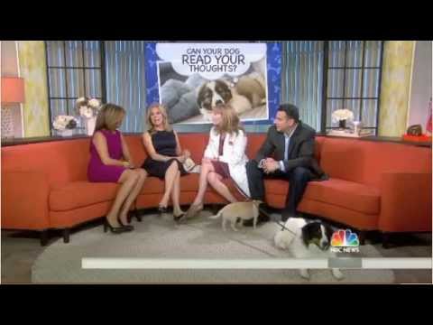 Can dogs read our facial expressions. Dave Donnenfeld on the Today Show explains how they can.