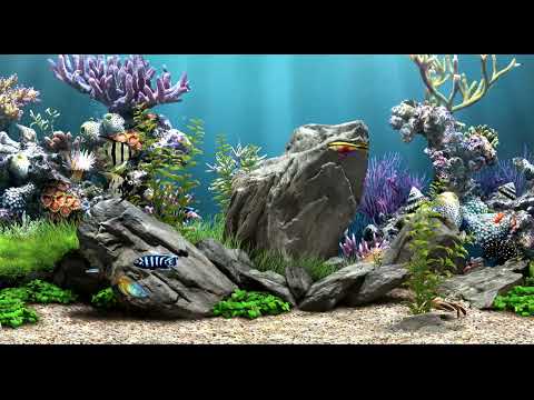 Relaxing Fish Tank Aquarium with Calm Bubbling Water | No Music | 2 Hours | HD