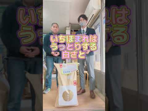 【岐阜市の美味しいお米屋さん】福井県からいちほまれの担当者さんが来店 #shorts