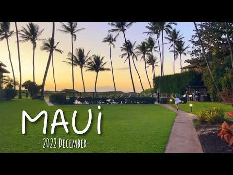 MAUI Vlog Part 2 - 2022 December - (#197)