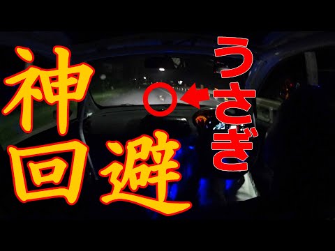 【神回避】愛車で動物をひきそうになる！！【ウサギの飛び出し】