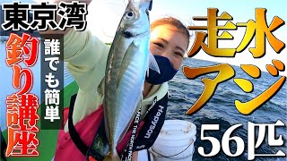 【アジ釣り】走水ブランド大アジを釣って食べて思う存分堪能する!!【黄金アジ】【走水アジ】【釣りガール】【関義丸】