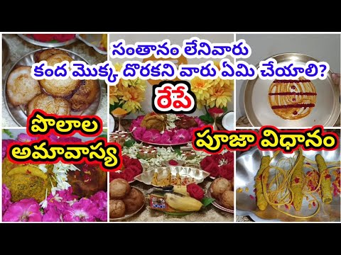 Polala amavasya 2024 pooja vidhanam | polala amavasya pooja