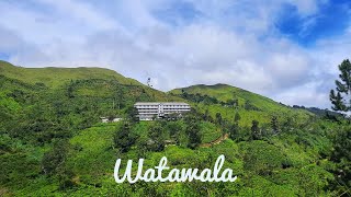 A beautiful Tea Factory at Watawala, Sri Lanka #travel #visitsrilanka #train #tea