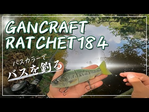 バスカラーでバスを釣る！ / GANCRAFT RATCHET184