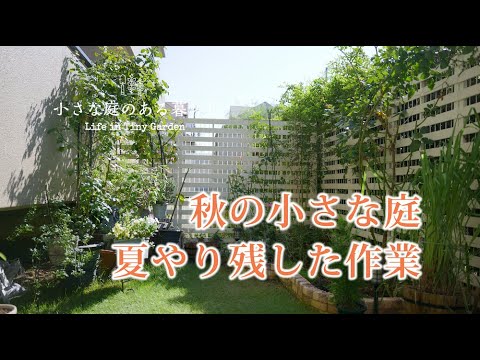 ガーデニング｜小さな庭、秋庭、夏にやり残した作業｜ 〜小さな庭のある暮らし#89 〜Gardening ｜ Life in a tiny garden