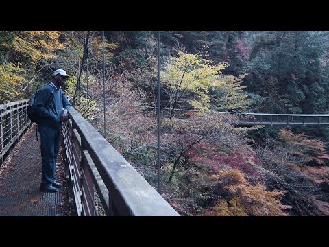 Hailstone Haiku Circle's 18th autumn "haike" (Mitarai Gorge, Dorogawa onsen village and Mt Inamura)