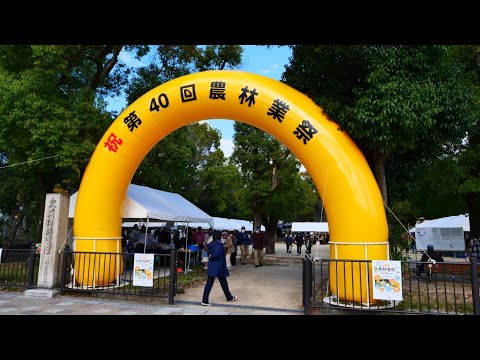 第40回　島本町農林業祭　2024年